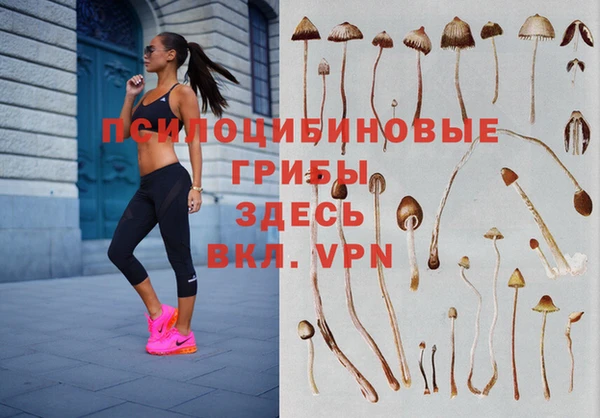 гидропоника Баксан