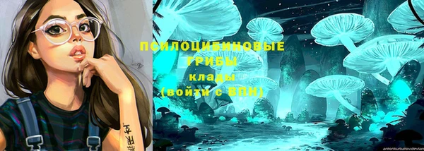 ешки Белокуриха