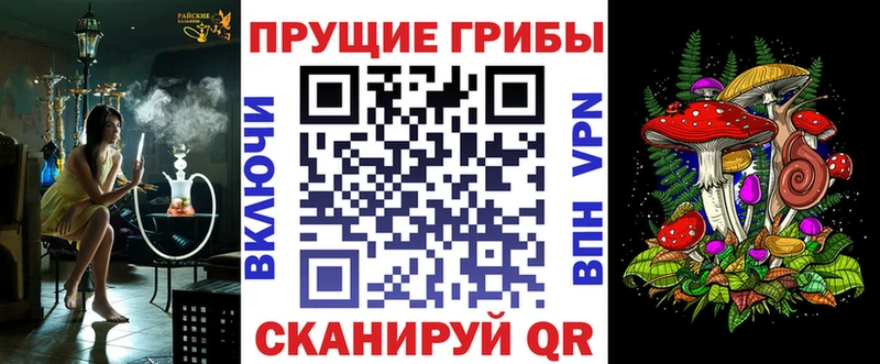 Купить закладки  Слободской  Псилоцибиновые грибы MAGIC MUSHROOMS 
